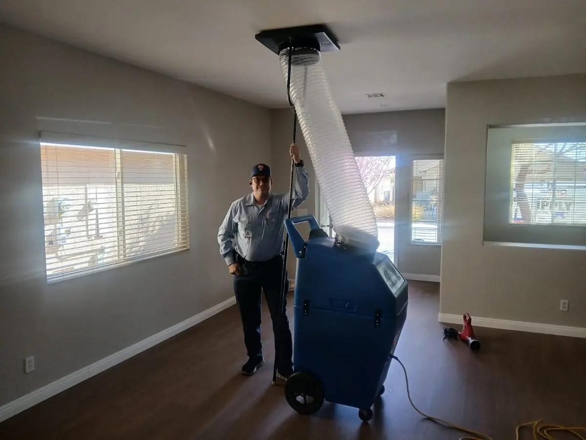 Professional Dryer Vent Cleaning work inside a Eastman home